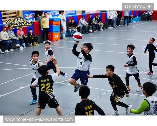 篮球综艺节目对青少年影响的研究，篮球对于青少年的重要性